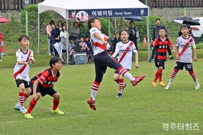 축구 꿈나무 1만 4천 명, 경주서 뜨거운 여름 승부 펼쳐