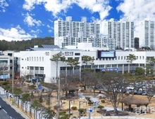 영천시, 2026년 특용수 현금보조 조림사업 신청 접수